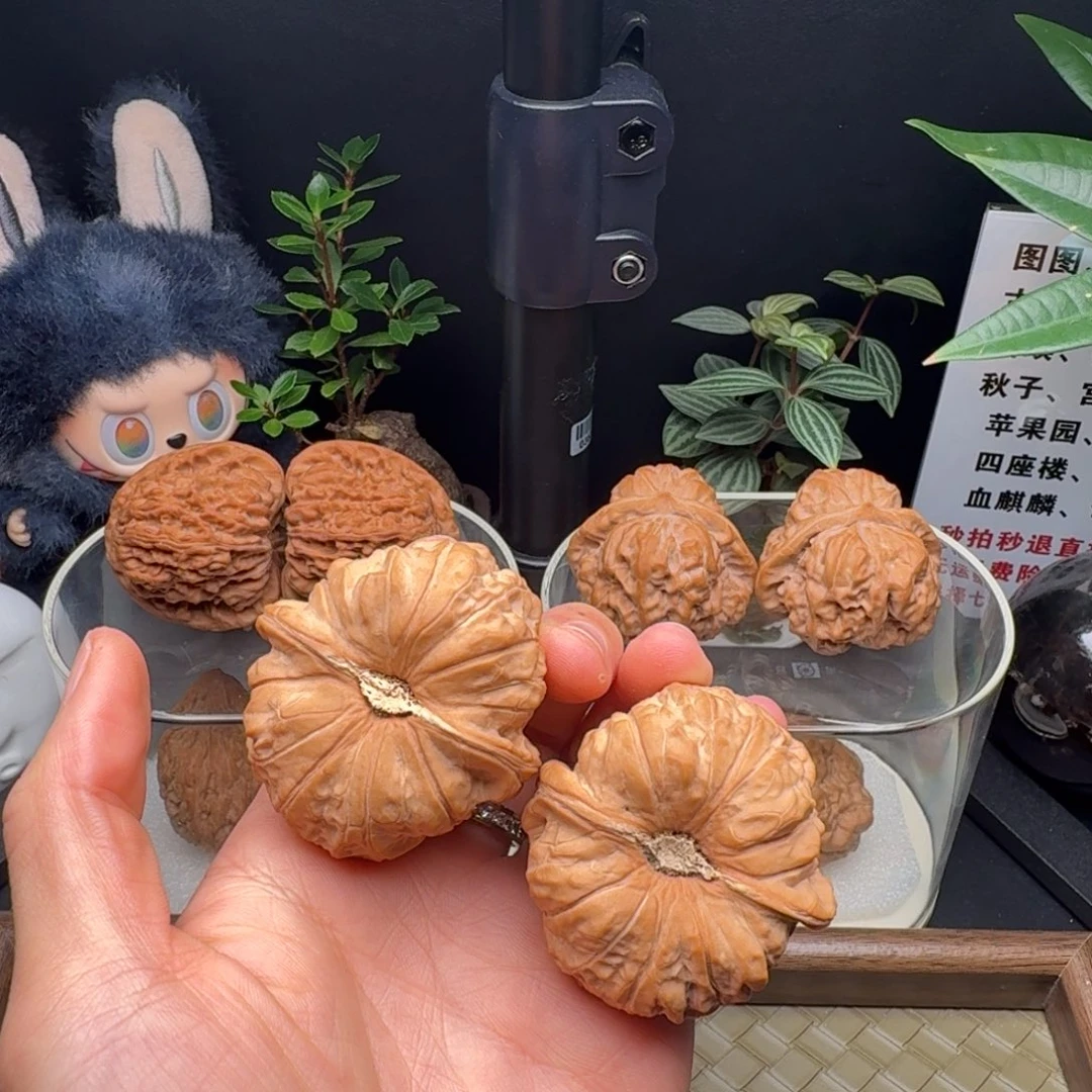 吊坠龙脊菩提全品大凹底南瓜46