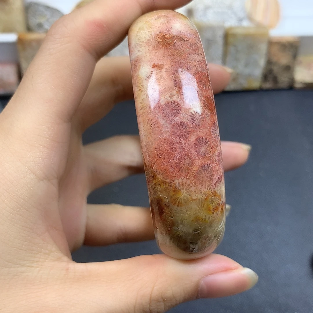 硅化珊瑚（珊瑚玉）未镶嵌颈饰