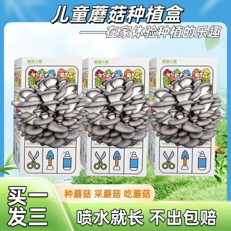 【买一发三】蘑菇种植菌包盒在家种蘑菇菌包儿童种植玩具科学小实验