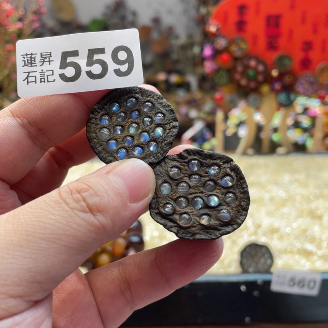 核桃木/黑胡桃（胡桃木）?****?559