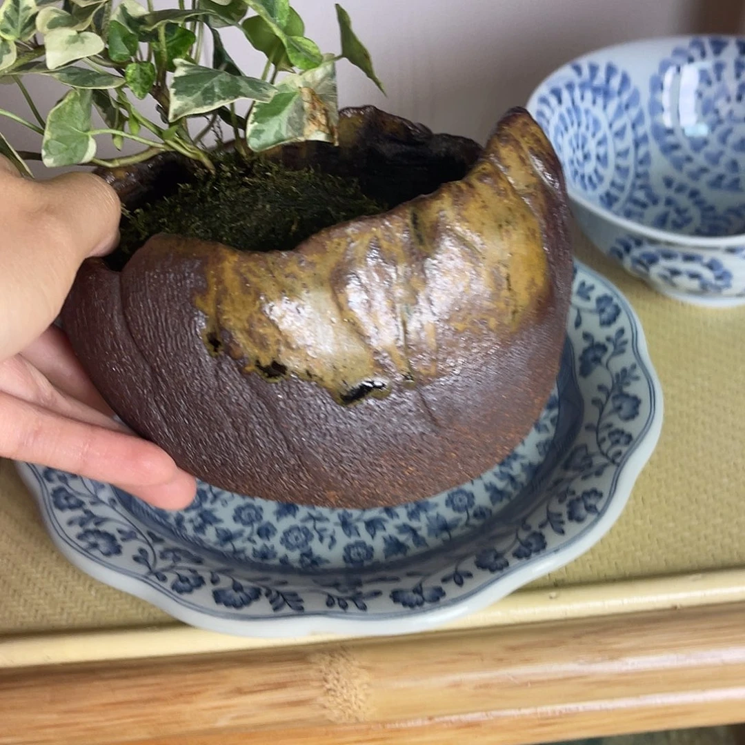 瓷片信乐烧花器来咯