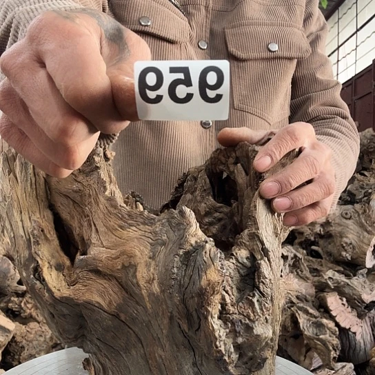 翠*紫砂噜啦啦啦啦啦啦