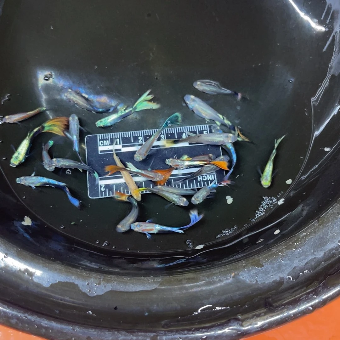 海水4号哈哈哈哈哈哈