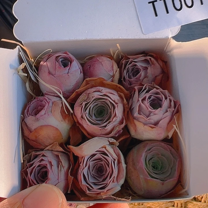 TT001。玫瑰混花盒。 福利