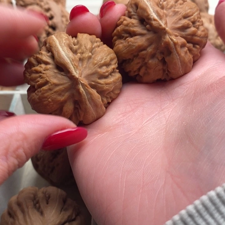 因***果霸王龙全品无修一刀没动