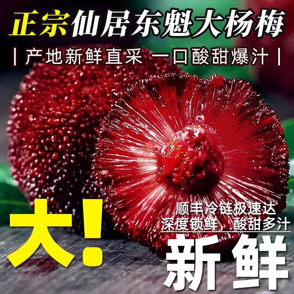 正宗仙居特大东魁杨梅现摘现发礼盒装现货顺丰包邮