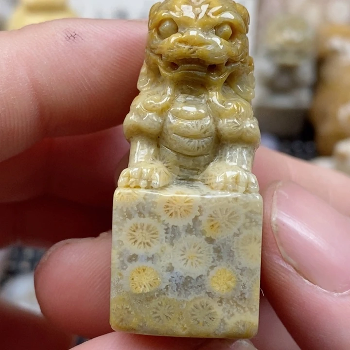 颈饰未镶嵌硅化珊瑚（珊瑚玉）