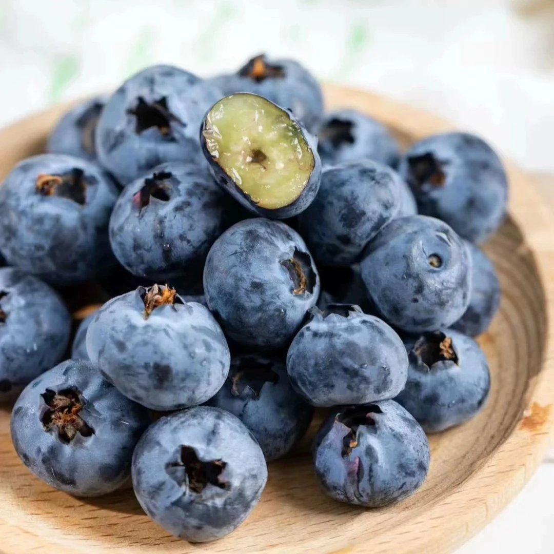 云南高山蓝莓 边境收山货