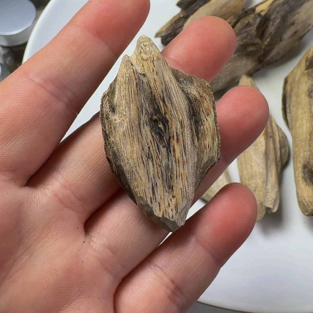 沉香碎屑沉香广西虎斑棋2.68克