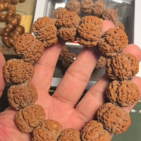 金刚菩提手串五星梅花大金刚手串，24左右，原皮原色