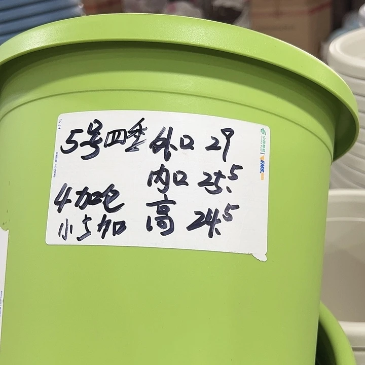 特价5号口29高24果绿6只无托