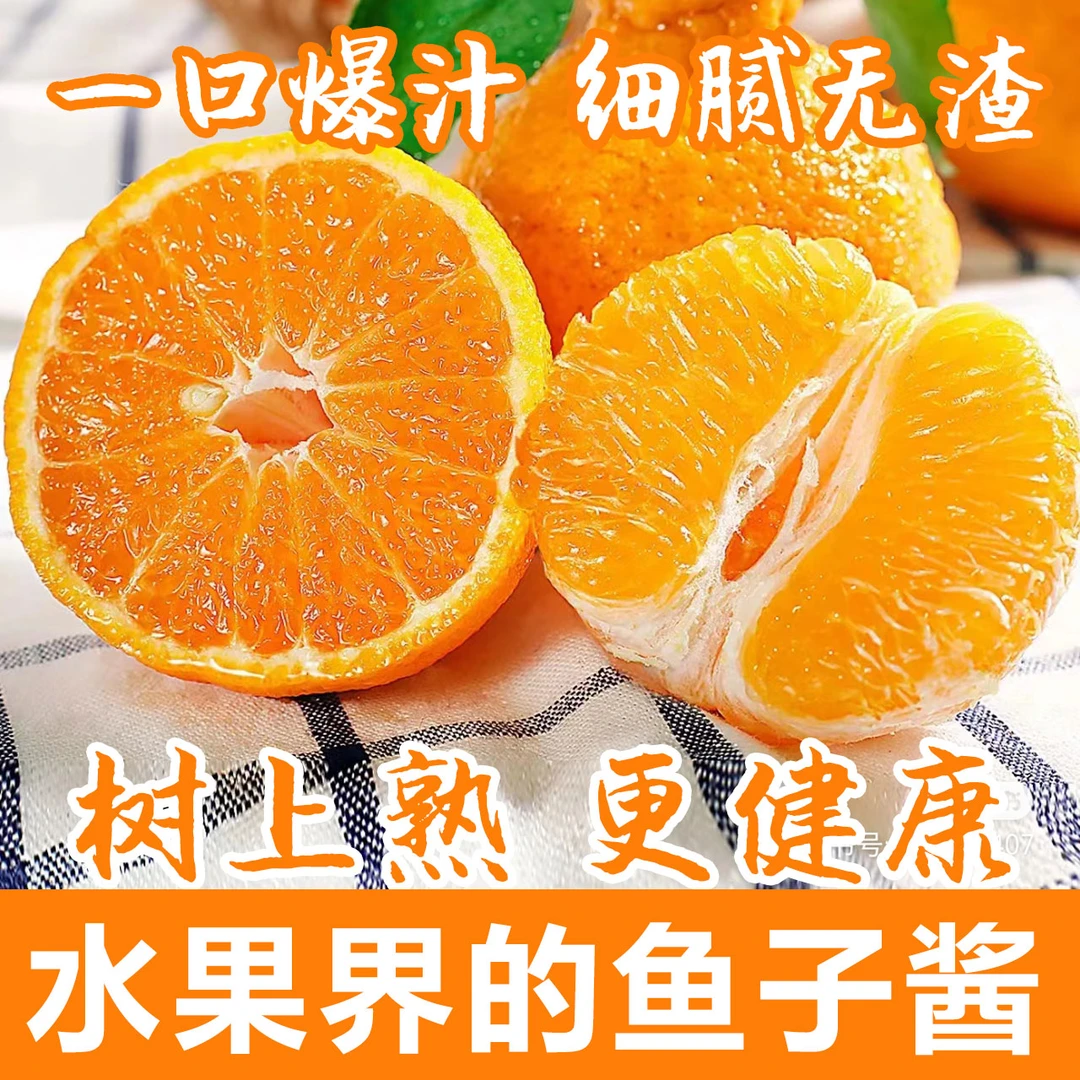 树上自然熟四川眉山春见耙耙柑果园直发新鲜当季水果爆汁