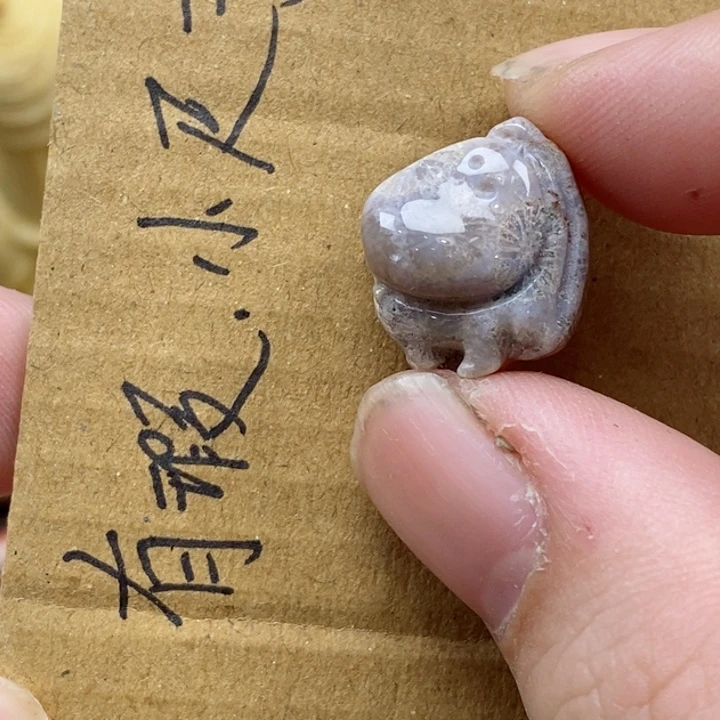 颈饰未镶嵌硅化珊瑚（珊瑚玉）