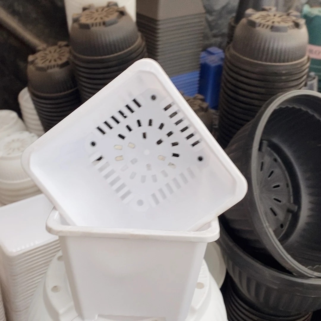 塑料新14公分白方盆加厚15个