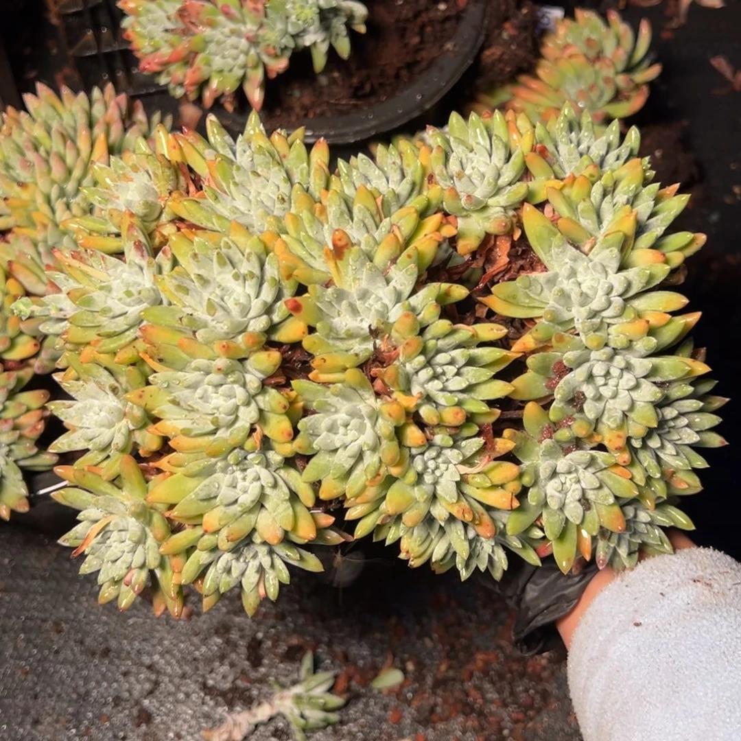 2767哈哈哈哈哈哈哈哈