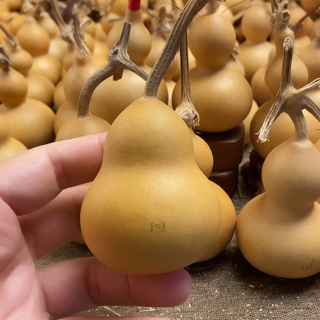 文玩葫芦 完美主义者 慎拍108