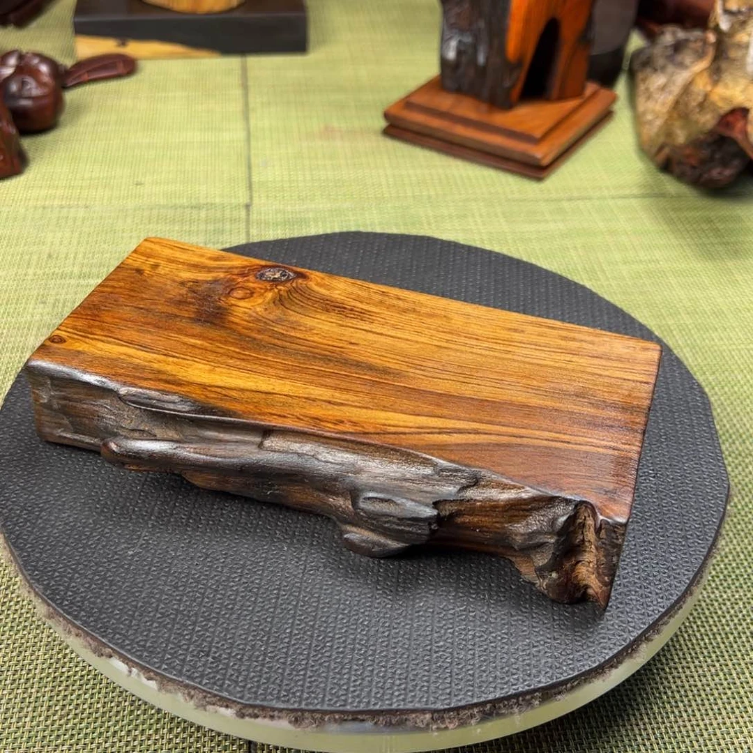 大果紫檀（缅甸花梨）栖*