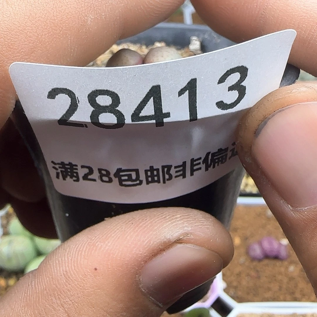 发****在脱土28包邮28413