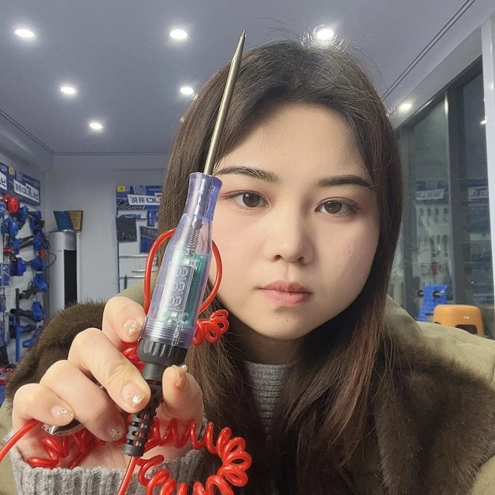 带数显的测电笔一个