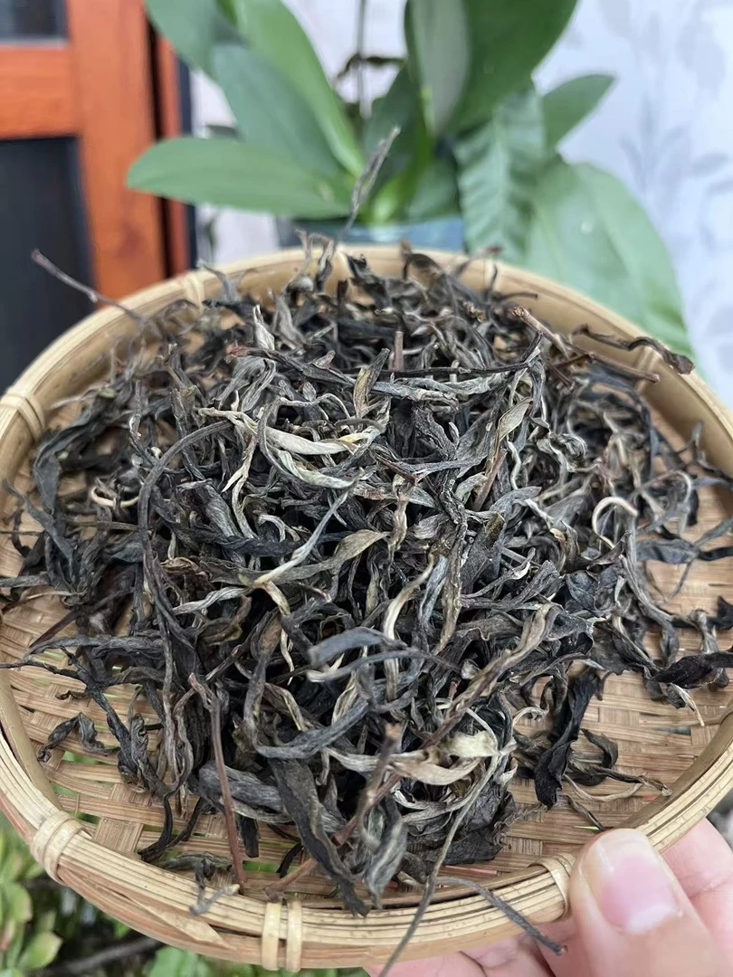 2022易武森林高杆 生普散料 普洱茶（8g）