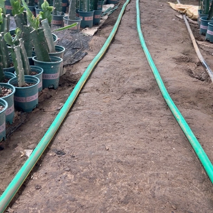 用***6花架和5号花一起发