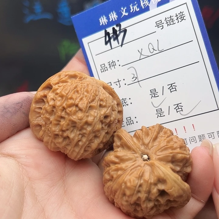 文玩核桃吊坠核桃树443