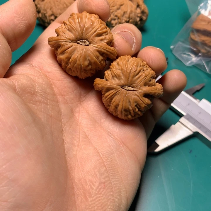 把件文玩核桃M****.白狮子