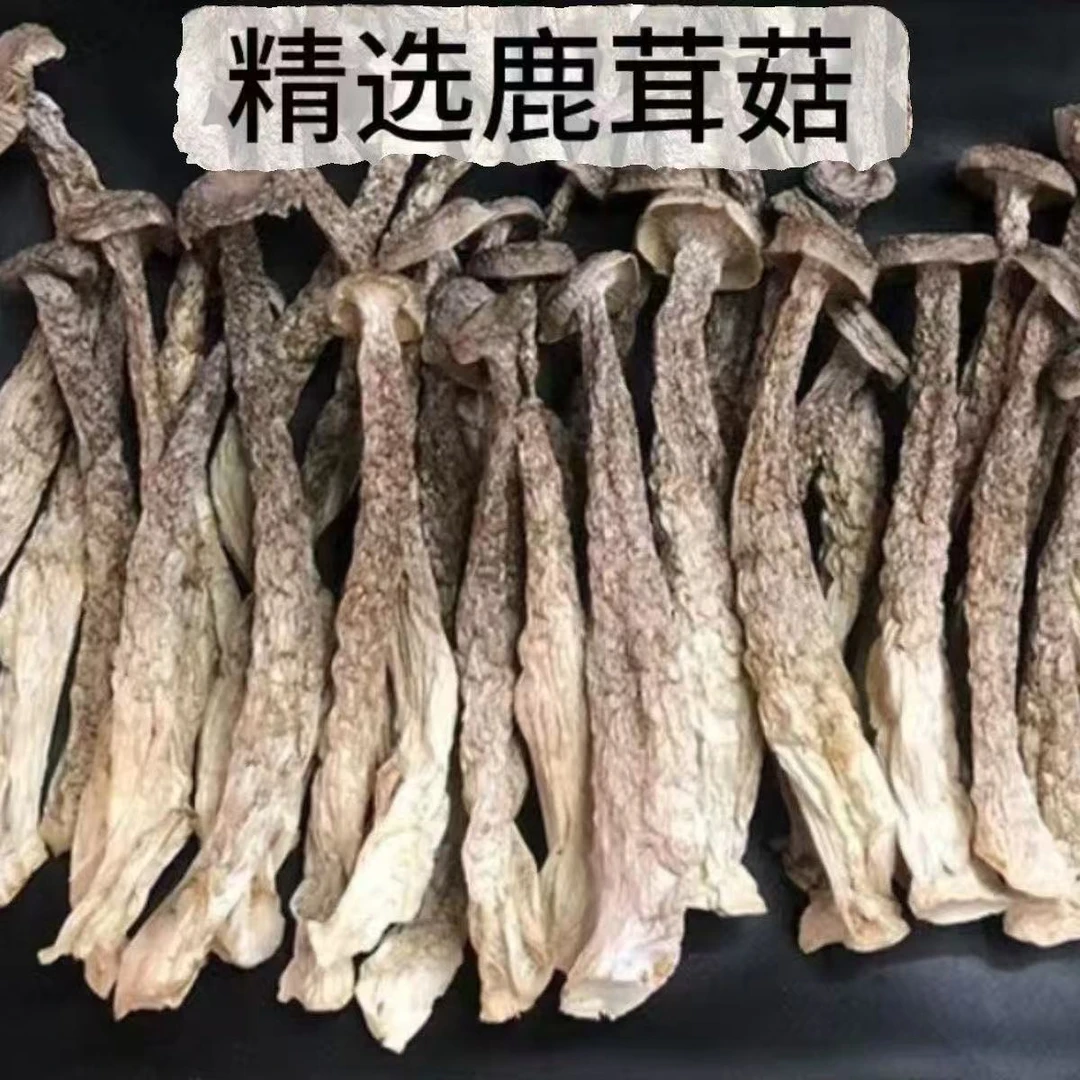 鹿茸菇干脆脆菇可煲汤可爆炒