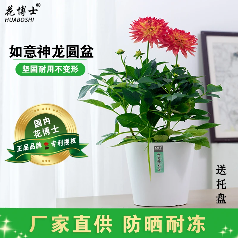 仿水泥200#圆形花盆（口径20cm高18cm）加厚环保无异味创意多肉月季