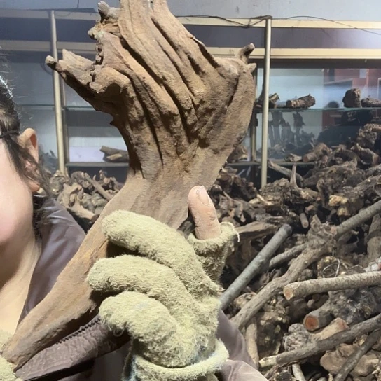 香榧木哪***_火琉璃的故事毛料摆件