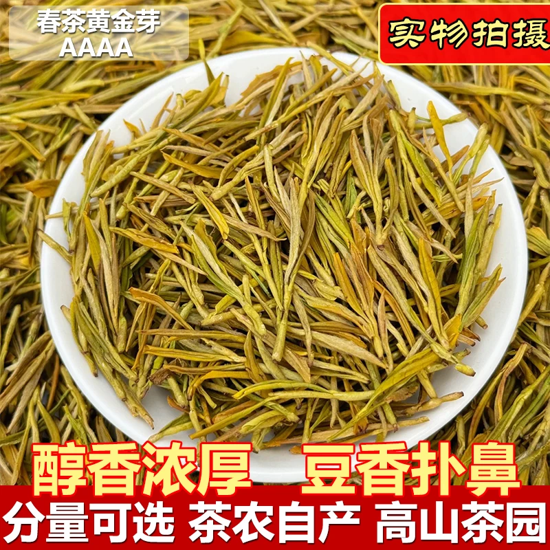 一斤送杯【限量补贴】浙江高山黄金芽茶叶浓豆香耐泡明前春茶口粮茶