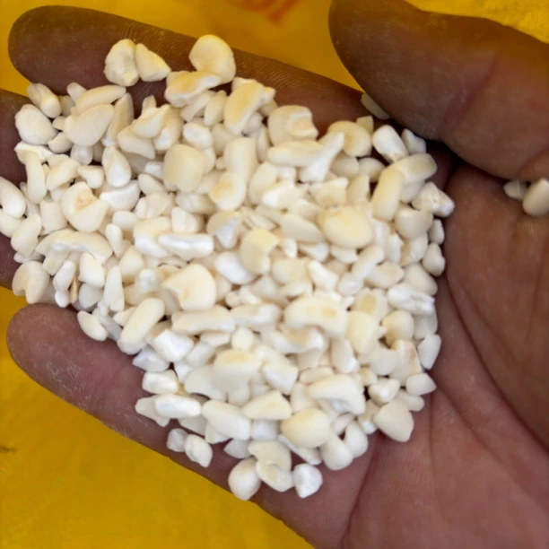 蓟县农户自种白糯玉米