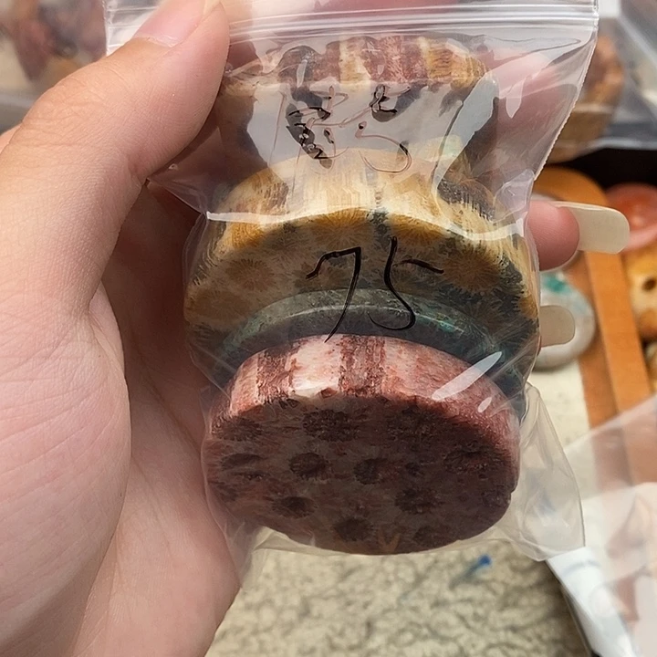 倩***兮硅化玉颈饰未镶嵌