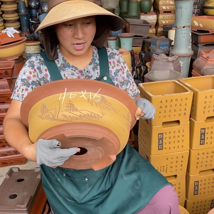 紫砂花盆盆栽花卉苗木种植