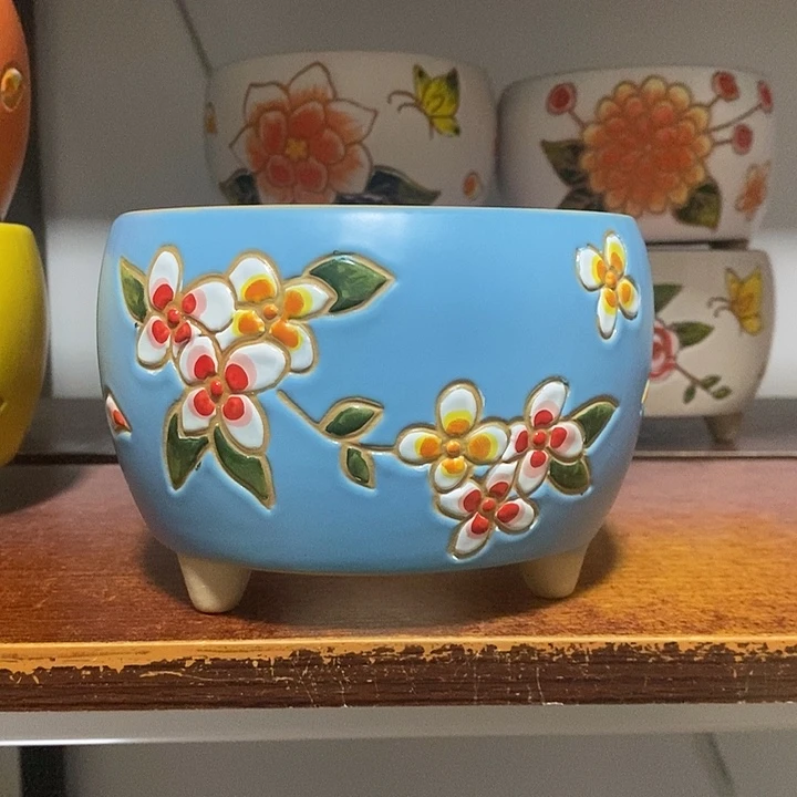 韩式多肉植物花盆