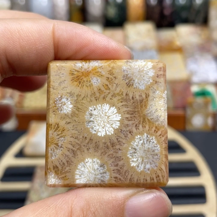 硅化玉未镶嵌颈饰k76