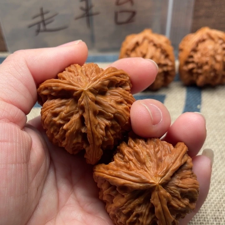 包***育核桃白狮子40核桃