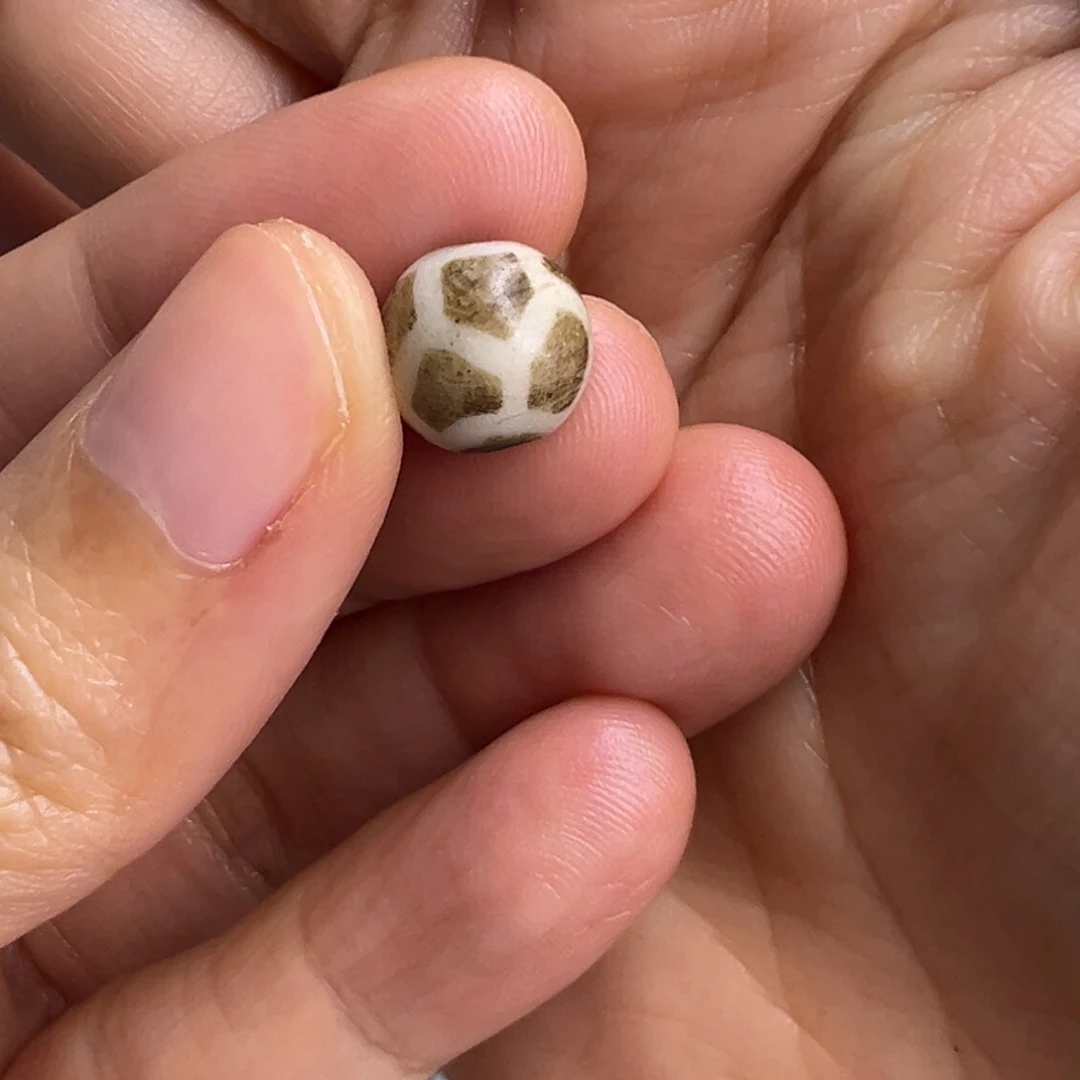 直发专拍专用链接