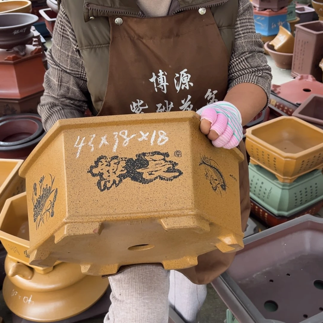 紫砂花盆盆景艺术