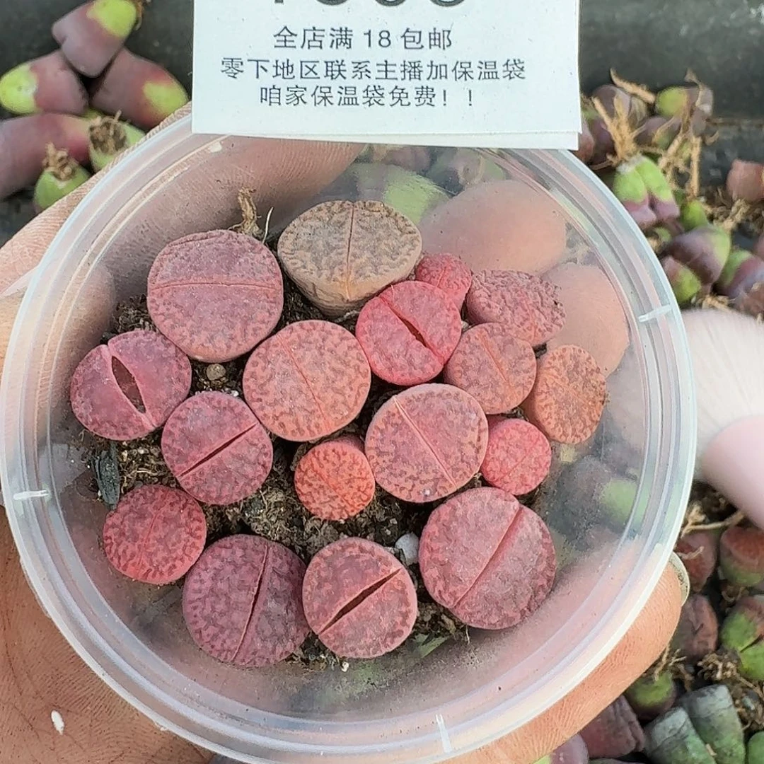 1503 哈哈哈哈哈哈哈哈哈