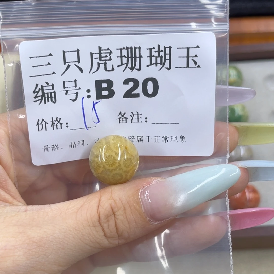 小***将硅化珊瑚（珊瑚玉）h未镶嵌