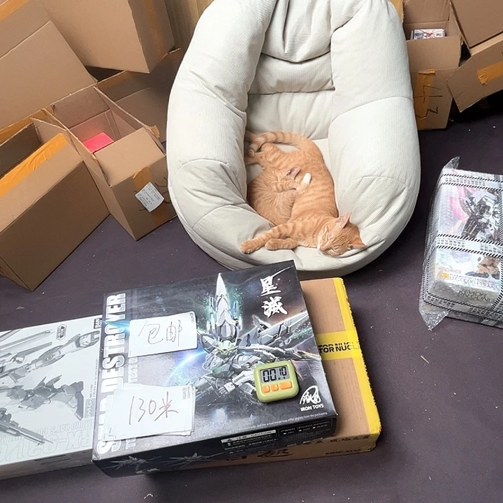 月***见模型随机模型随机