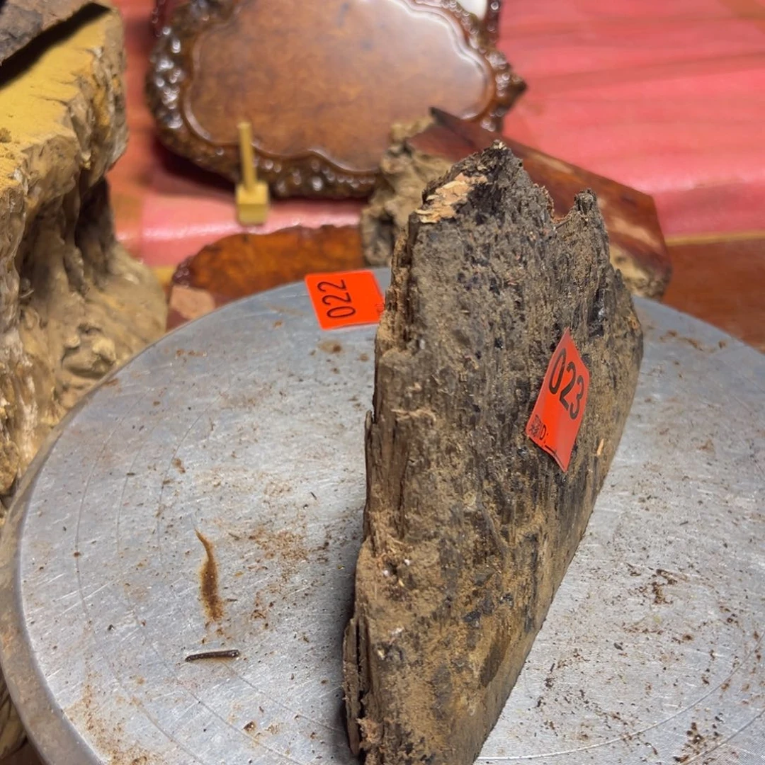 大果紫檀（缅甸花梨）