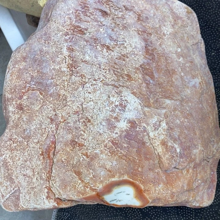 u h y f t gu gy vy