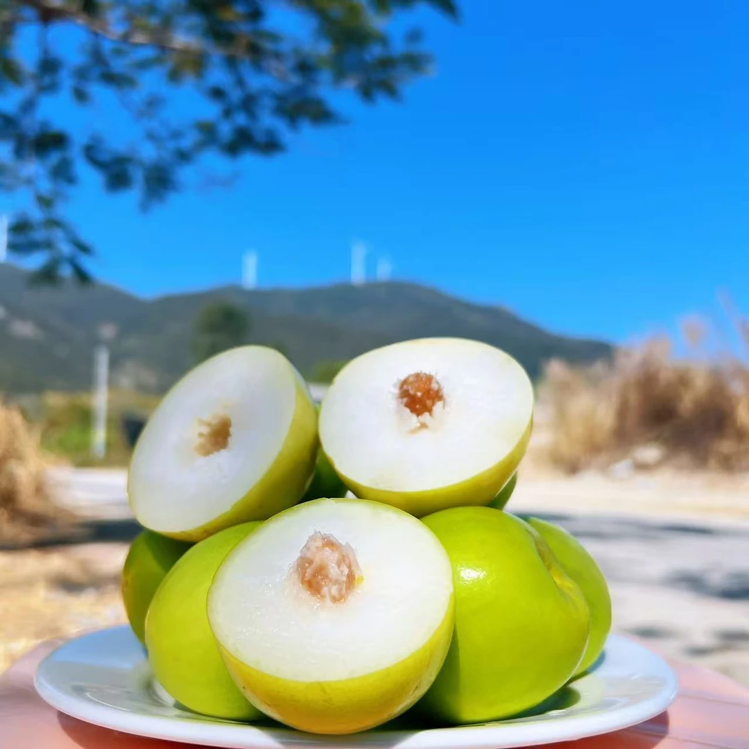 （中通）广东潮汕现摘牛奶枣大青枣脆甜多汁应季水果贵妃枣应季