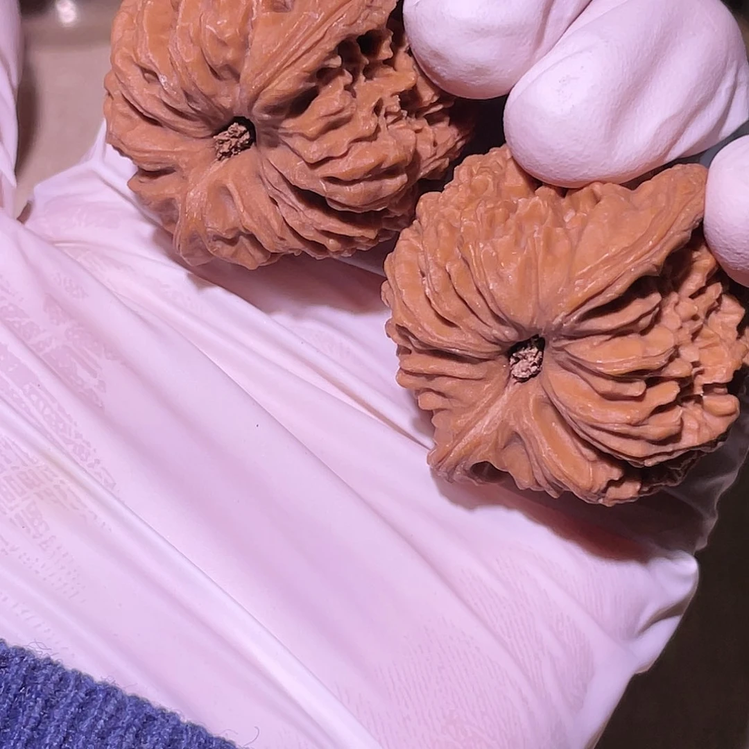 【闪购商品】38南江有黄