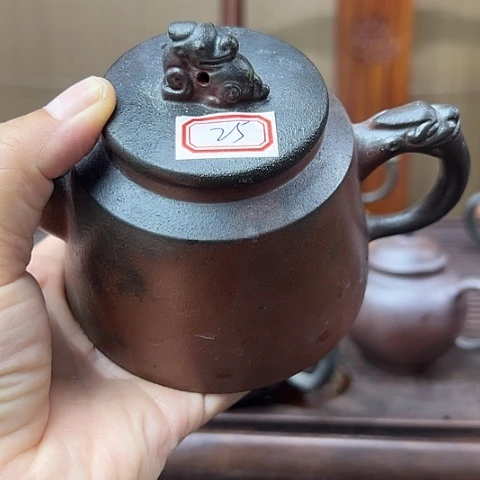 南***牛戬谷龙窑柴烧茶壶25