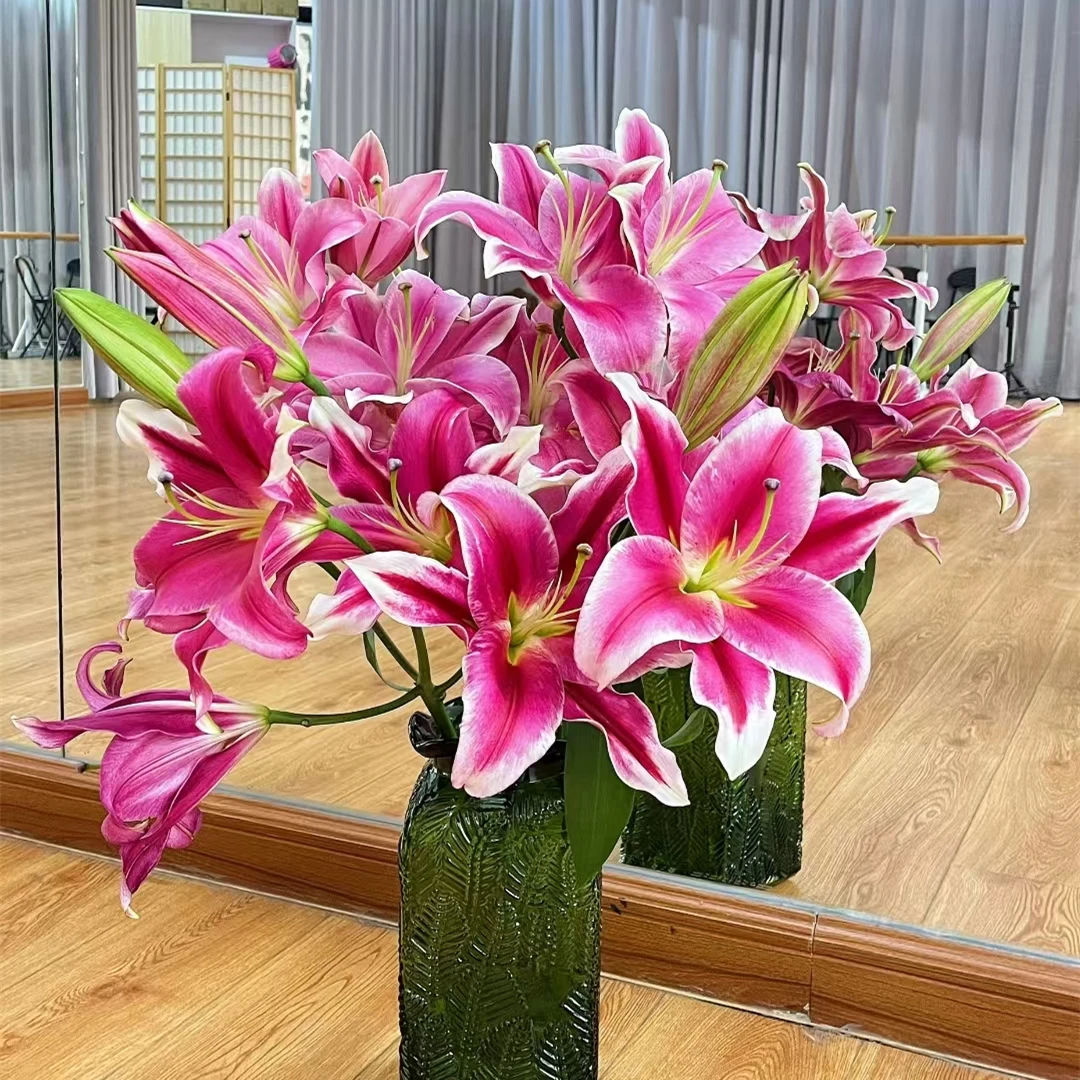 【随机红色系单瓣香水百合】