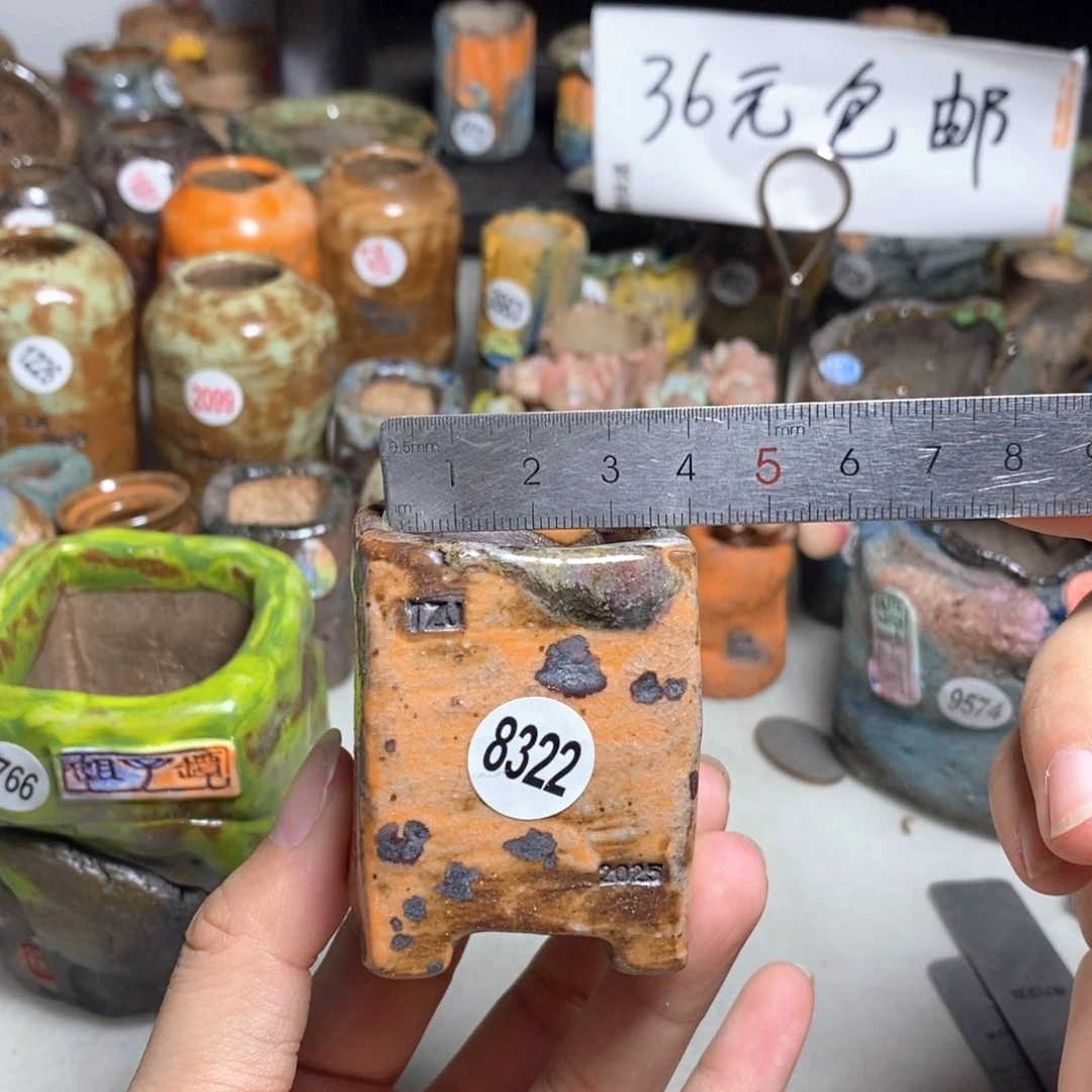 拍3送一个小礼物