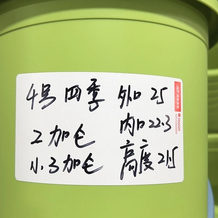 特价4四季口25高21.5果绿无托8只